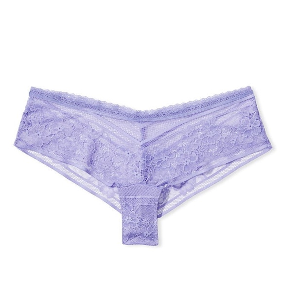 Victoria's Secret The Lacie Floral Stripe Cheeky Panty Periwinkle Small NEW - Picture 4 of 8